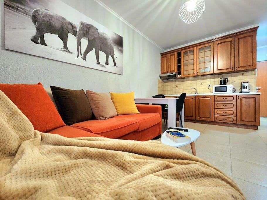 Апартаменты One Bd Flat Near Center With 24H Self Check In Тирана Экстерьер фото