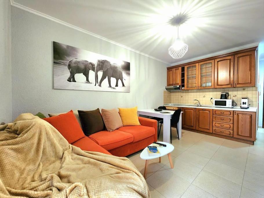 Апартаменты One Bd Flat Near Center With 24H Self Check In Тирана Экстерьер фото